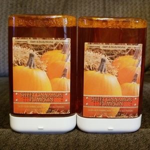 (2) Sweet Cinnamon Pumpkin smart soap